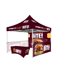 pop up canopy 10x10
