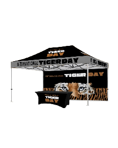 10x15 canopy heavy duty